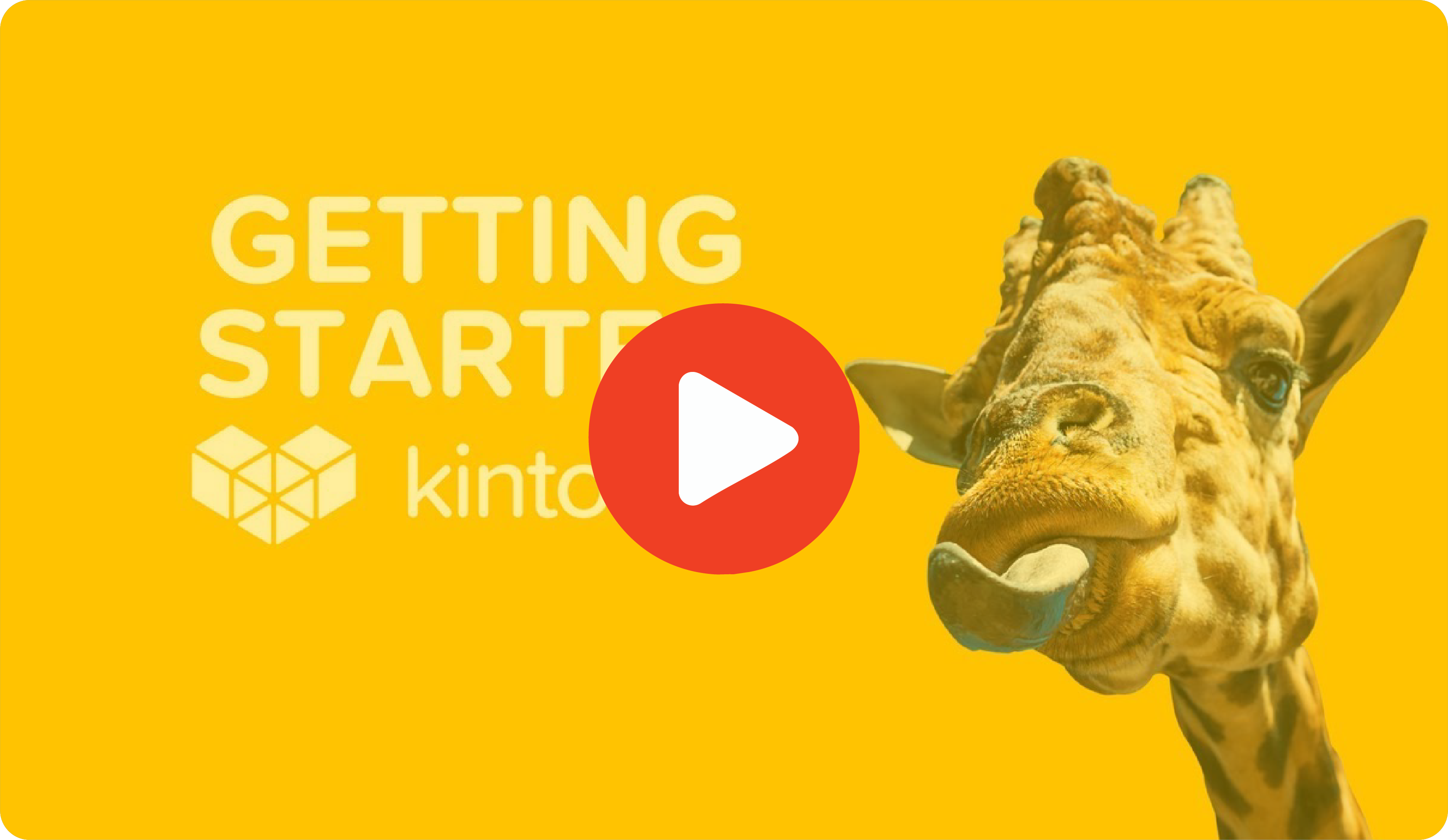 Setting up Workflows