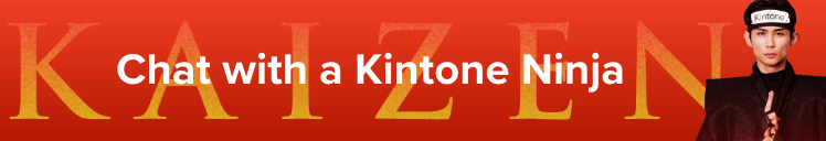 Chat with a Kintone Ninja