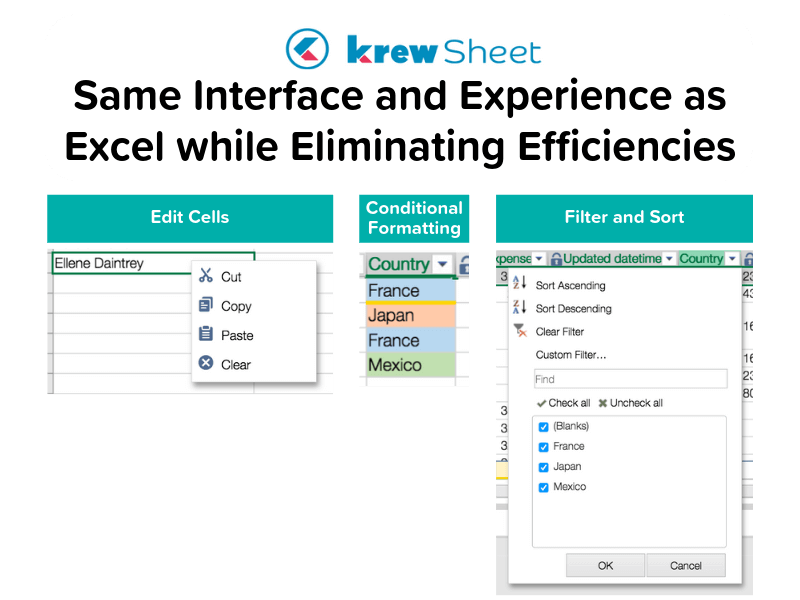 Salesforce Alternatives, Excel Alternatives, Access Alternatives, Kintone, krewsheet leagle customer story