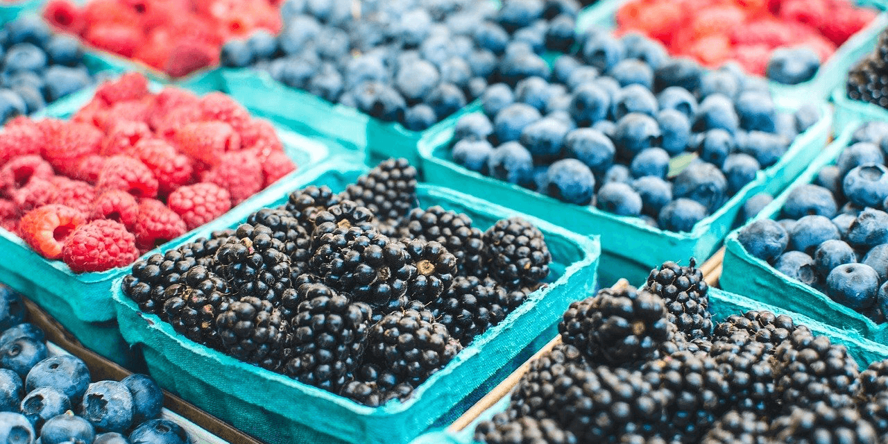 LiveWell Colorado - Kintone Customer Story