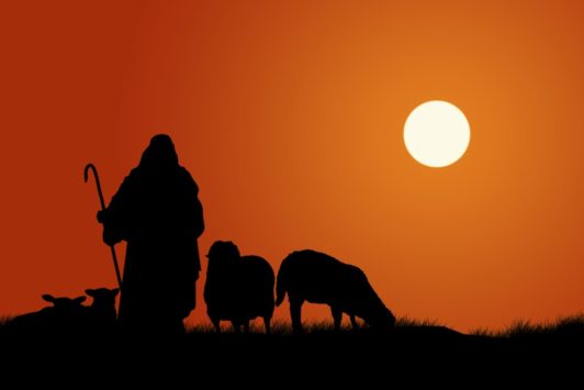 Silhouette Of Shepherd And Sheep